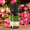 Black Label Essential Oil Tea Sage and Salt 10ml/20ml/100ml